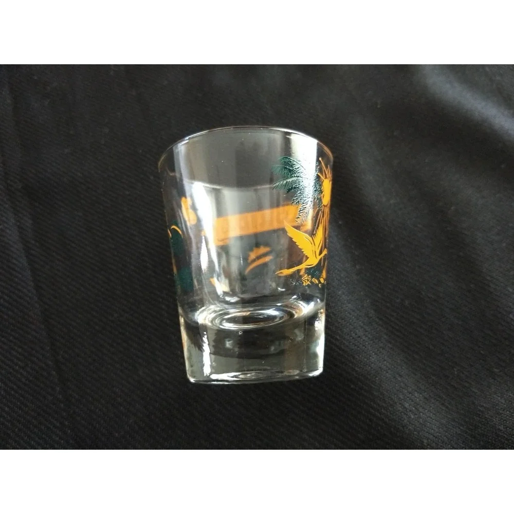 Florida Souvenir Shot Glasses Vtg Carrib Set of 4 Original Box Marlin Sunshine